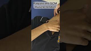 Neck pain relief exercise SCM muscle release physiotherapy neckpainrelief [upl. by Takeo453]