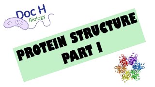 OCR ALevel Biology  Proteins  Part 1 212 Biological Molecules [upl. by Themis960]