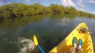 St Thomas Cas Cay Kayak Hike Snorkel [upl. by Loydie]