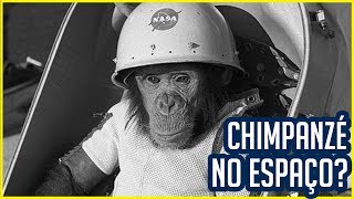 Ham o primeiro chimpanzé lançado no espaço [upl. by Nirred]