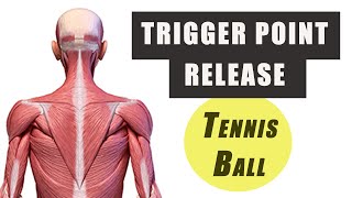 Trigger Point Release with a Tennis Ball  Upper Trap Levator Scapulae and Mid TrapRhomboids [upl. by Strage267]