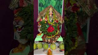 Jai bhramarambika Devi ki Jaytrendingshorts [upl. by Anaek]