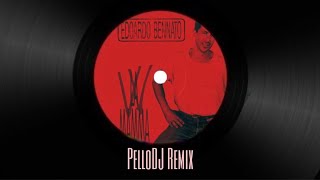 Edoardo Bennato  Viva la mamma PelloDJ REMIX [upl. by Enyal983]