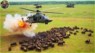 How Do Hunters And American Farmers Deal With Millions Of Wild Boars By Helicopter and Trap [upl. by Kcirtap927]