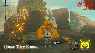 The Legend of Zelda Breath of the Wild  Gorae Torr Shrine Gut Check Challenge Nintendo Switch [upl. by Tteraj]