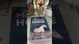 The forgotten horse Connemara pony book series for kids [upl. by Limaa]