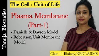 PlasmaCell Membrane Structure and functions Part1Sandwich Models amp Unit Membrane model Class 11 [upl. by Etiuqram]