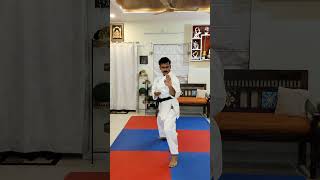 Bassai Dai Kata  Shotokan [upl. by Lynnette]