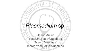 Plasmodium sp [upl. by Addy]