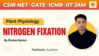 🌱 Nitrogen Fixation  Plant Physiology  Pranav Kumar  CSIR NET  GATE  ICMR  IITJAM  CUETPG 🌱 [upl. by Yknarf217]