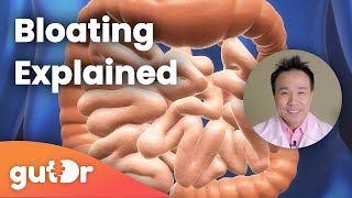 Bloating  The GutDr Explains 3D Gut Animation [upl. by Dalston]