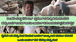 ಡಾರ್ಪರ್ dorperRambouillet sheep agriculture ರೈತರಿಗೆ ಅತಿ ಹೆಚ್ಚು ತೂಕ ಕೊಡುವ ಡಾರ್ಪರ್ 2024 [upl. by Tserof]