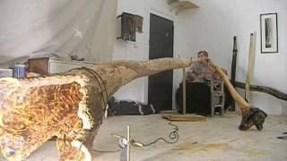 Biggest Solid Didgeridoo on the Planet  The GAIA GUM [upl. by Fiedling881]