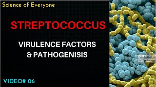 Streptococcus Virulence Factors amp Pathogenesis [upl. by Aelrac]