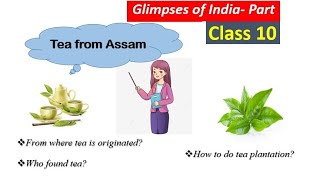 Glimpses of India  A Baker From GoaCoorgTea From Assam  English Class 10 Chapter 7  Explanation [upl. by Rehpotsihc812]