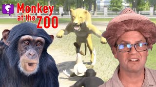 Monkey at the Zoo on HobbyGaming [upl. by Osbourn]