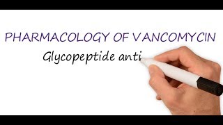 Vancomycin Mechanism of Action [upl. by Kuska]