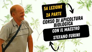 15  CORSO DI APICOLTURA BIOLOGICA  Asphodel Honey  con il maestro Stefano Furini Lezione 5 Parte2 [upl. by Eiten]