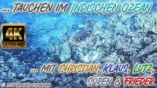 Tauchen im Indischen Ozean 🐢 🐬 🐡 … [upl. by Ynnig322]