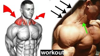 How to Build Your Trapezius workout [upl. by Ivon]