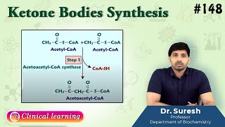 148 Ketone Bodies Synthesis [upl. by Pope882]