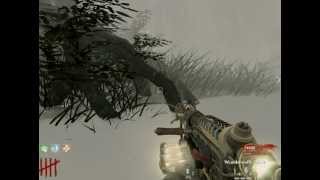 Call of Duty 5 World at War Zombie Cheats PC  Shi no Numa [upl. by Kcirttap]