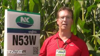 NK Brand Syngenta Seed Corn N53W 3150 CHU Agrisure [upl. by Noiramaj]