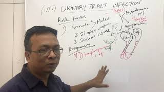 UTIUrinary Tract Infection [upl. by Etnaed]