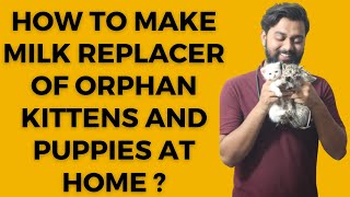 How to Make Milkreplacer of Orphan Kittens and Puppies at Home  Dr Maaz Ahmed Siddique [upl. by Rednasela]