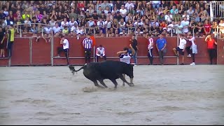 Segundo encierro 2024  Completo  Humanes de Madrid [upl. by Gnal]