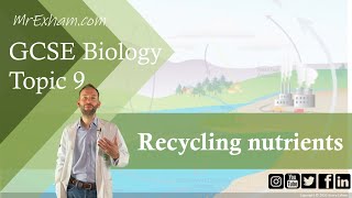 Recycling Nutrients  GCSE Biology 91 912 [upl. by Adalia991]