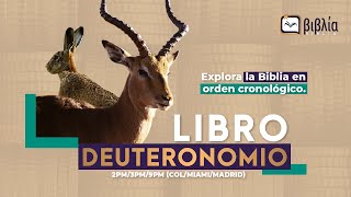 βιβλία Explora la Biblia en orden cronológico  quotDeuteronomioquot [upl. by Harutek]