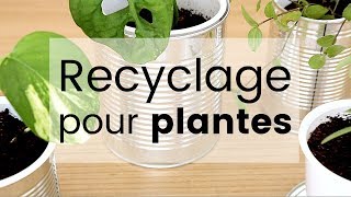 DIY Recyclage créatif  3 astuces pour vos plantes dintérieur  Tuto recyclage déco et boutures [upl. by Kilian]