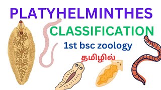 Platyhelminthes flatworms classification in tamil class trematodacestoda and turbellaria in tamil [upl. by Aneeram]