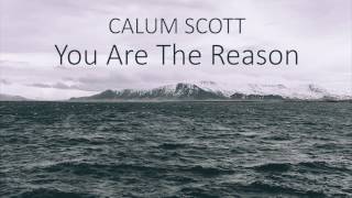 Calum Scott  You Are The Reason LYRICS [upl. by Ahsika793]