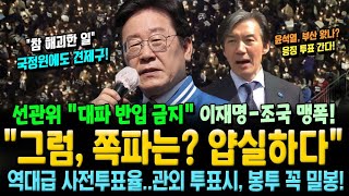 선관위 quot대파 반입 금지quot에 이재명조국 맹폭 quot그럼 쪽파는 얍실하다quot 국정원에도 견제구 날렸다 [upl. by Alilahk]