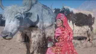 Kyrgyz of the Wakhan Corridor amp Afghan Pamirs  CDIs projects [upl. by Tilla]