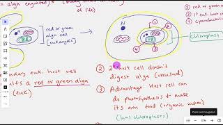 Secondary Endosymbiosis The Process [upl. by Onej]