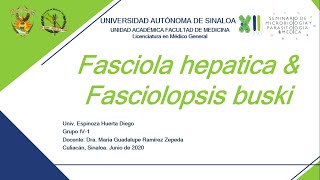 10 Fasciola hepatica y Fasciolopsis buski [upl. by Yelloh]