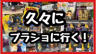 【ブラショ】久しぶりにガッツリブラショしたのでその様子と購入品紹介！ [upl. by Cima351]