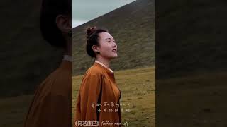 ཕ་ཡུལ་ཞིང་ཁམས་འདྲ།Tibetan song shorts tibetannewsong shortmusic shortsvide tibet tibetanvlog [upl. by Leuamme]