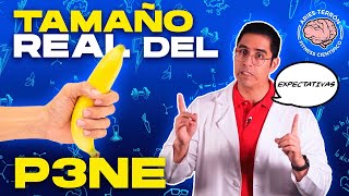 La VERDAD del tamaño del P3NE 🍌 ¿SE PUEDE AGRANDAR [upl. by Ramiah]