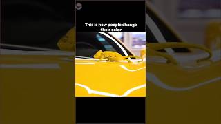 This is how people change their colour shortvideo reality life shortvideo trending shortfeed [upl. by Mcgraw272]