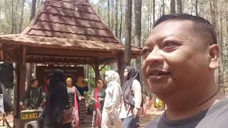 NGEVLOG  PUNCAK BECICI  JOGJA 271024 [upl. by Reede609]