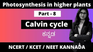 Photosynthesis in higher plants Part 8  Calvin cycle in kannada biologyinkannada 1stpuc pcmb [upl. by Akselaw]