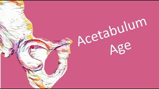 Acetabulum aging  Osteology tutorial [upl. by Anaeerb]