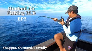 Gurnard Snapper and Trevally  Fishing in Whanganui EP 2 [upl. by Suoirrad]