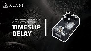 Adam Adventures Series  ALABS Audio TIMESLIP DELAY Licks Demo [upl. by Onailime]