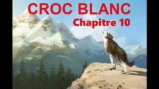 Croc Blanc  Livre Audio 🔈  chapitre 10  La servitude [upl. by Nabla]