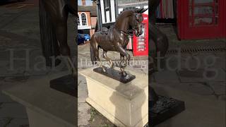 Visiting Valegro in Newent equestriansport gold tarnished [upl. by Lombardo586]